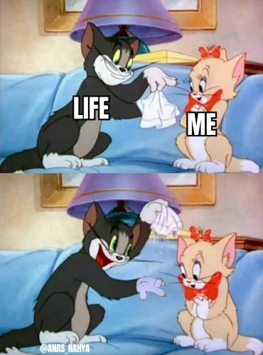 Meme Tom và Jerry 5