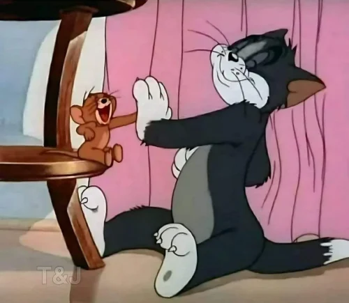 Meme Tom và Jerry 16