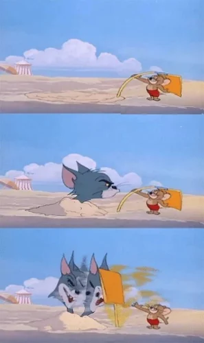 Meme Tom và Jerry 20