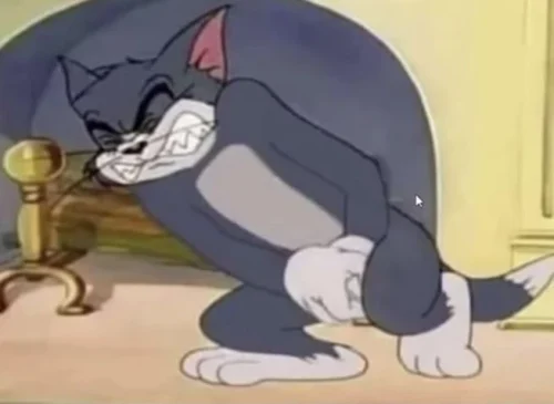 Meme Tom và Jerry 28