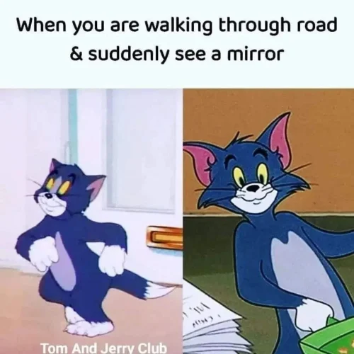 Meme Tom và Jerry 33