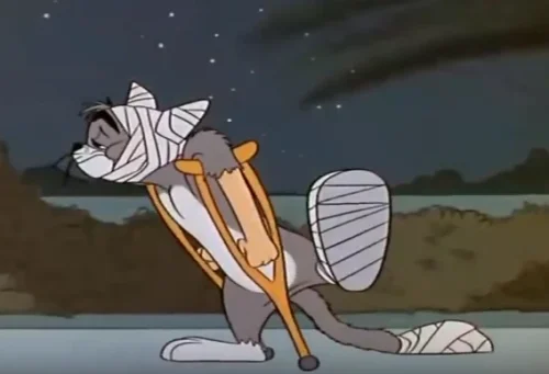 Meme Tom và Jerry 44