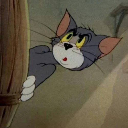 Meme Tom và Jerry 52