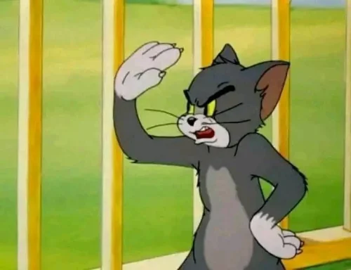 Meme Tom và Jerry 56