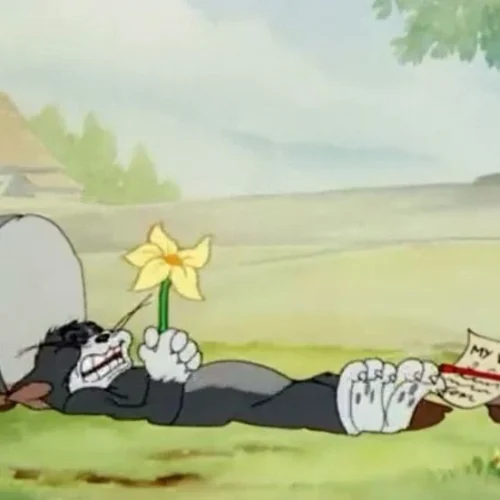 Meme Tom và Jerry 2