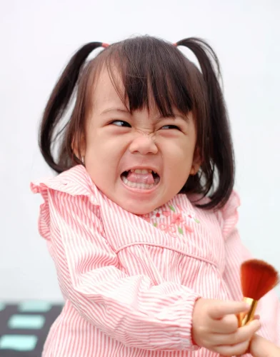 Meme tức giận 29
