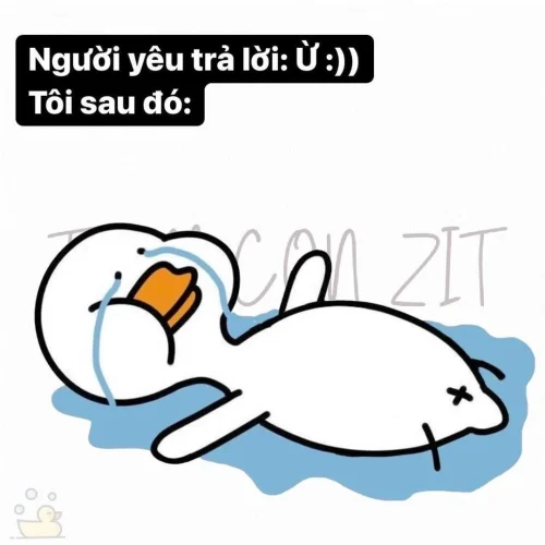 Meme vịt 45