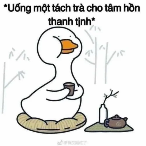 Meme vịt 46