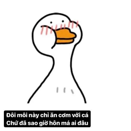 Meme vịt 49