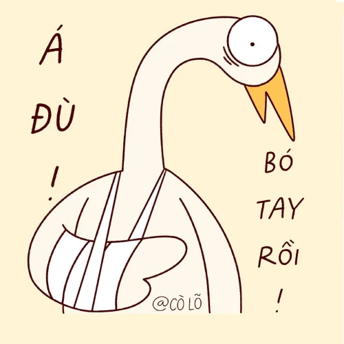 Meme vịt 52