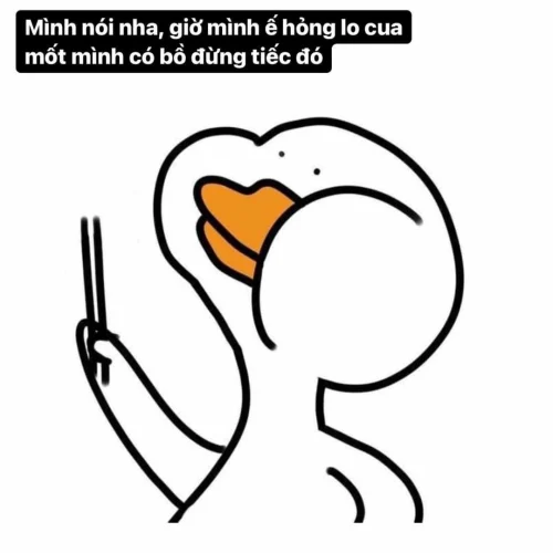 Meme vịt 53