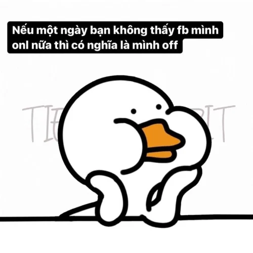 Meme vịt 54