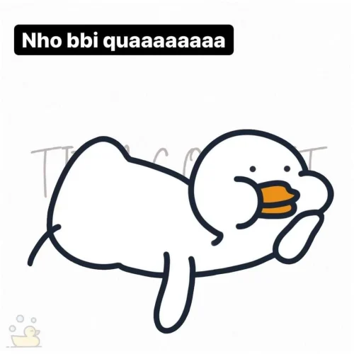 Meme vịt 56