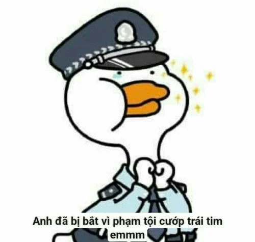 Meme vịt 3