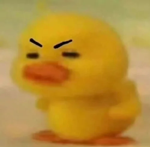 Meme vịt 4