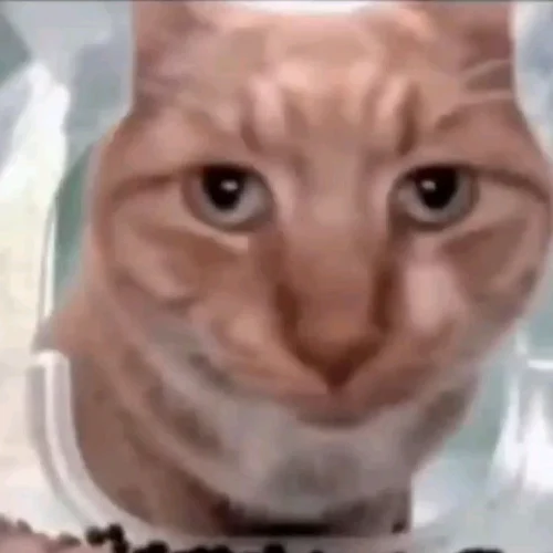 Meme vô tri 20