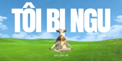 Meme vô tri 21