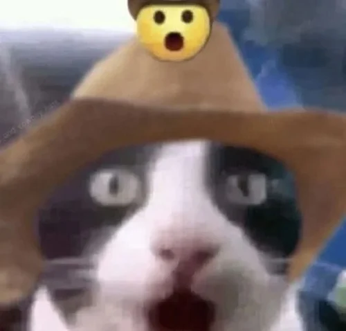 Meme wow 22