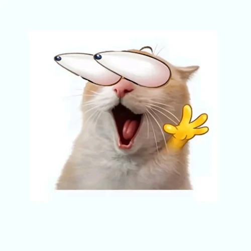 Meme wow 41