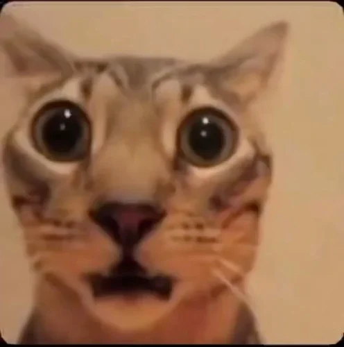 Meme wow 8