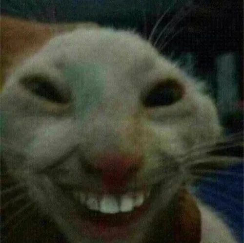 Meme wow 21
