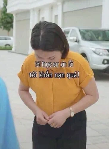 Meme xin lỗi 1