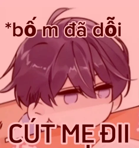 Meme xin lỗi 4