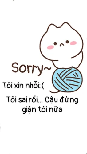 Meme xin lỗi 11