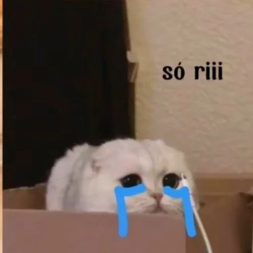 Meme xin lỗi 12