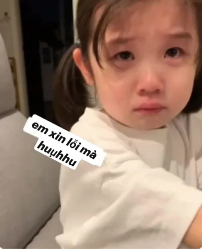 Meme xin lỗi 14