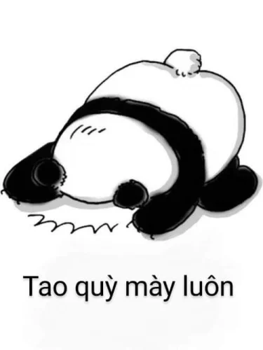 Meme xin lỗi 17