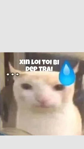 Meme xin lỗi 18
