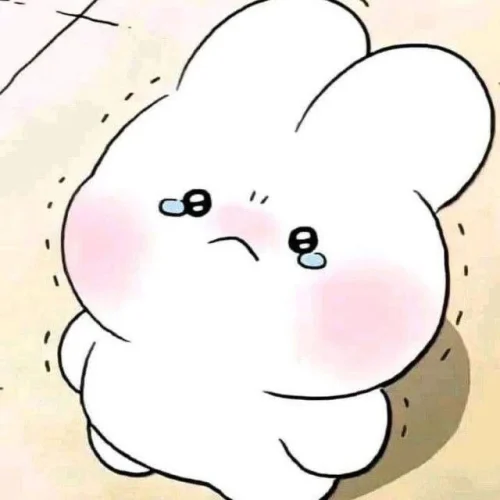 Meme xin lỗi 24