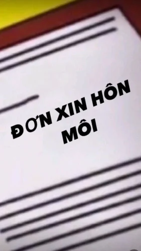 Meme xin lỗi 25