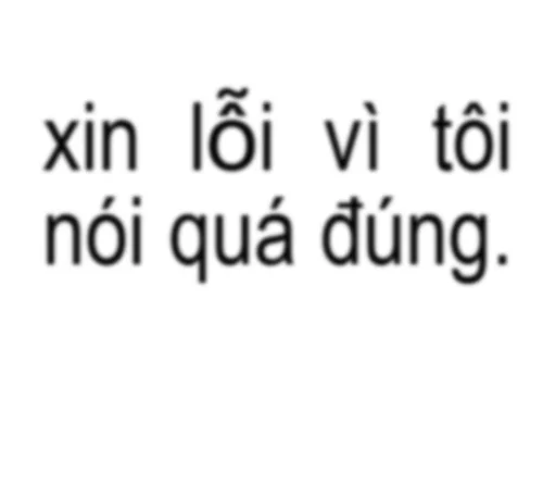 Meme xin lỗi 26