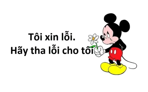 Meme xin lỗi 28