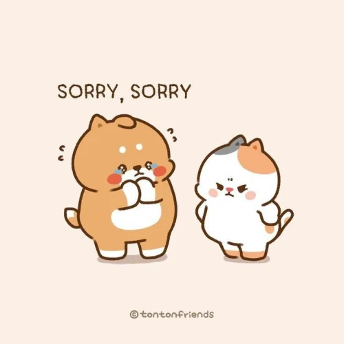 Meme xin lỗi 31