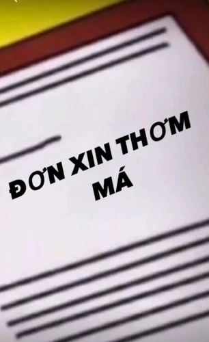 Meme xin lỗi 38