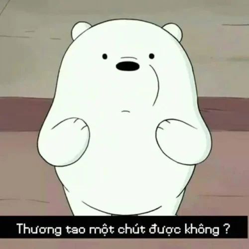 Meme xin lỗi 49