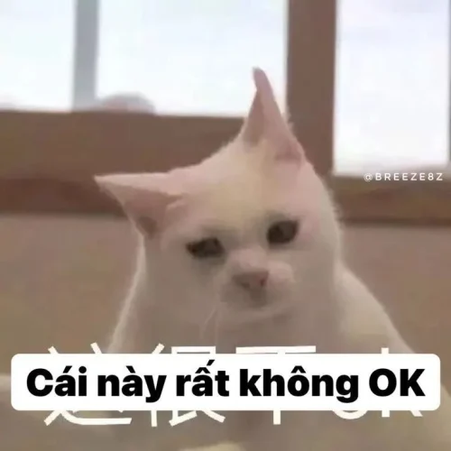 Meme xin lỗi 51