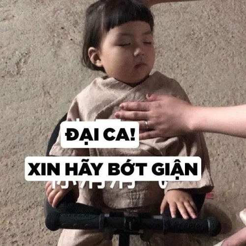 Meme xin lỗi 60