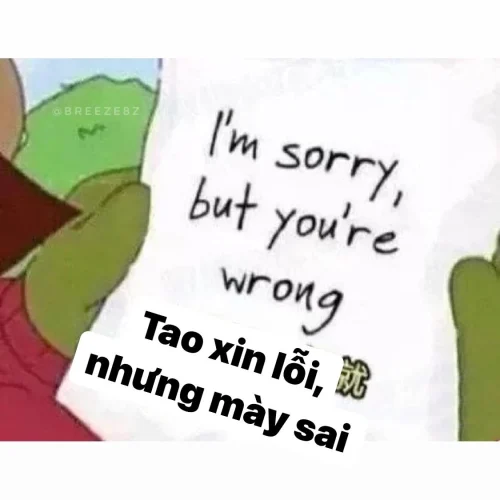 Meme xin lỗi 7