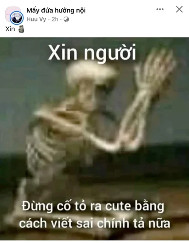 Meme xin lỗi 23