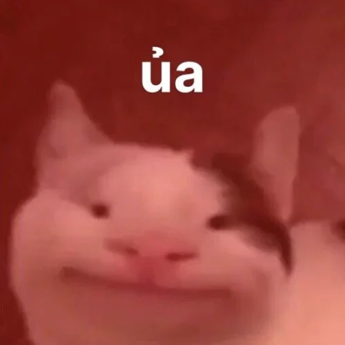 Meme xin lỗi 25