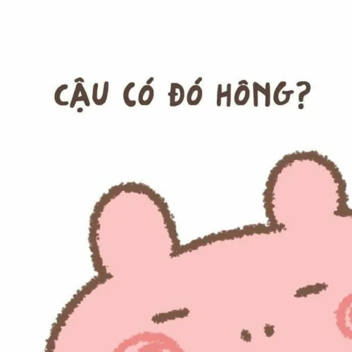 Meme xin lỗi 27