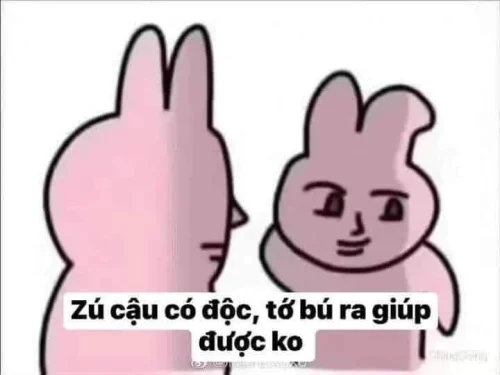 Meme xin lỗi 29