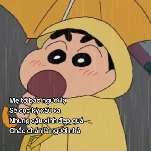 Meme xin lỗi 35