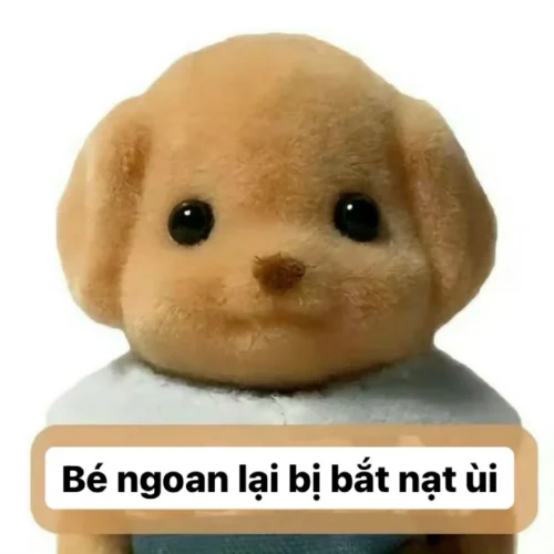 Meme xin lỗi 36
