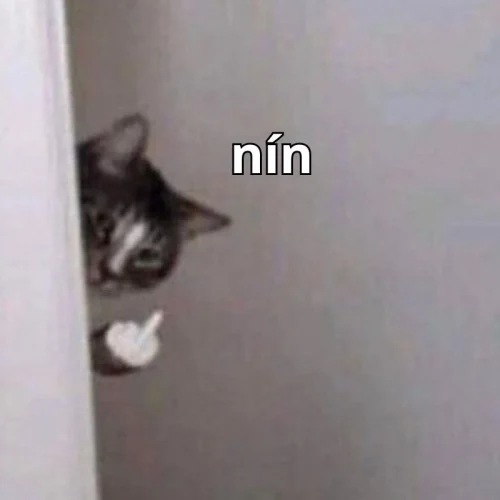 Meme Zalo 39