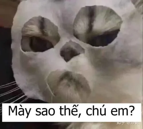 Meme Zalo 43